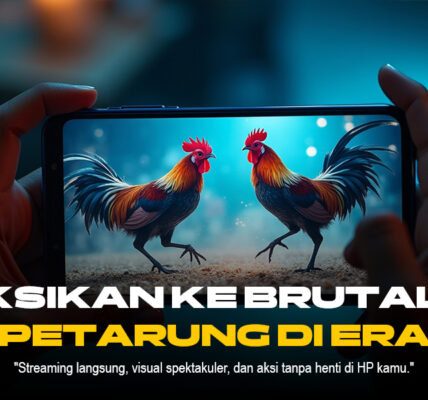 Mengenal Jenis Ayam Aduan SV388 yang Paling Populer