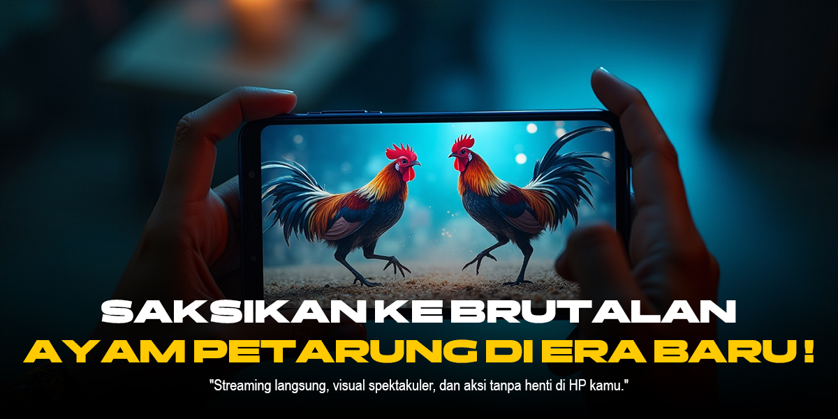 Mengenal Jenis Ayam Aduan SV388 yang Paling Populer