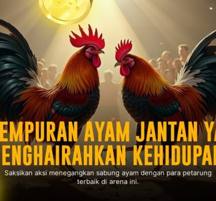 Mengenal SV388: Platform Sabung Ayam Terpercaya dengan Odds Terbaik