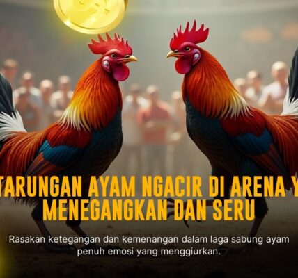 Mengupas Tuntas Jenis Ayam Bangkok di Sabung Ayam SV388