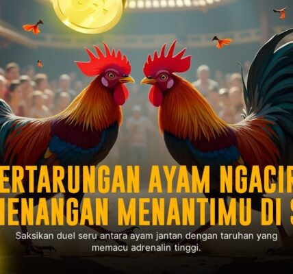 Ketahui Keunggulan Ayam Bangkok dalam Sabung Ayam SV388