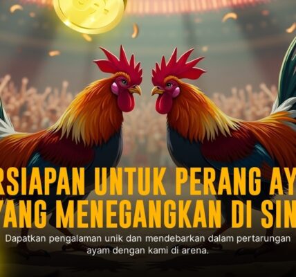 Mengenal Ayam Bangkok: Raja Sabung Ayam Paling Tangguh