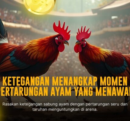 Mengenal Jenis Ayam Bangkok Sabung Ayam SV388 yang Penuh Strategi