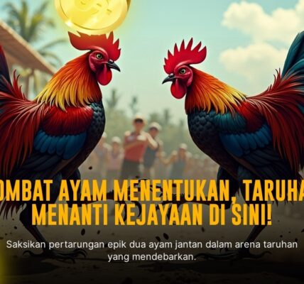 Menggali Odd dan Provider Terbaik Sabung Ayam SV388