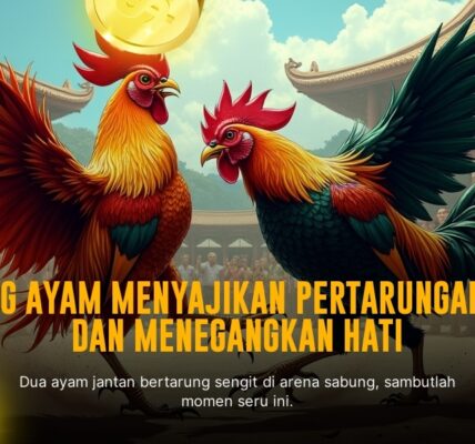 Mengenal Ayam Bangkok, Raja Sabung Ayam dengan Taruhan Odds Menarik di SV388