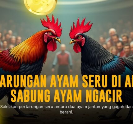 Mengenal Jenis Ayam Aduan Favorit di SV388