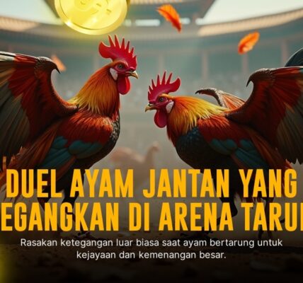 Bongkar Keunggulan Ayam Bangkok dalam Sabung Ayam SV388